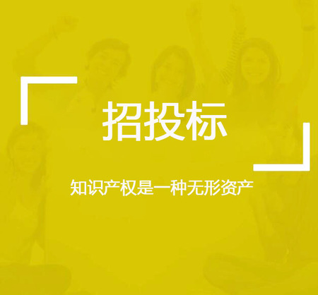 投标文件