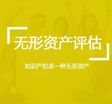 无形资产评估