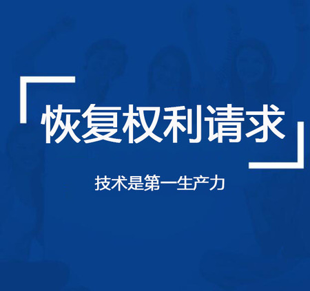 恢复权利请求咨询服务