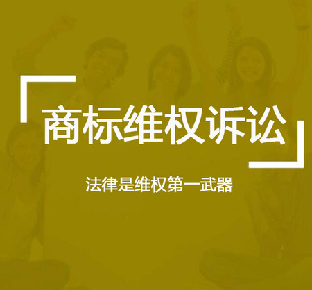 商标侵权、诉讼
