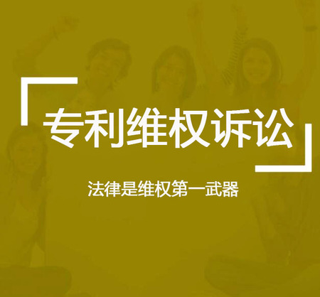 专利维权诉讼、咨询、服务